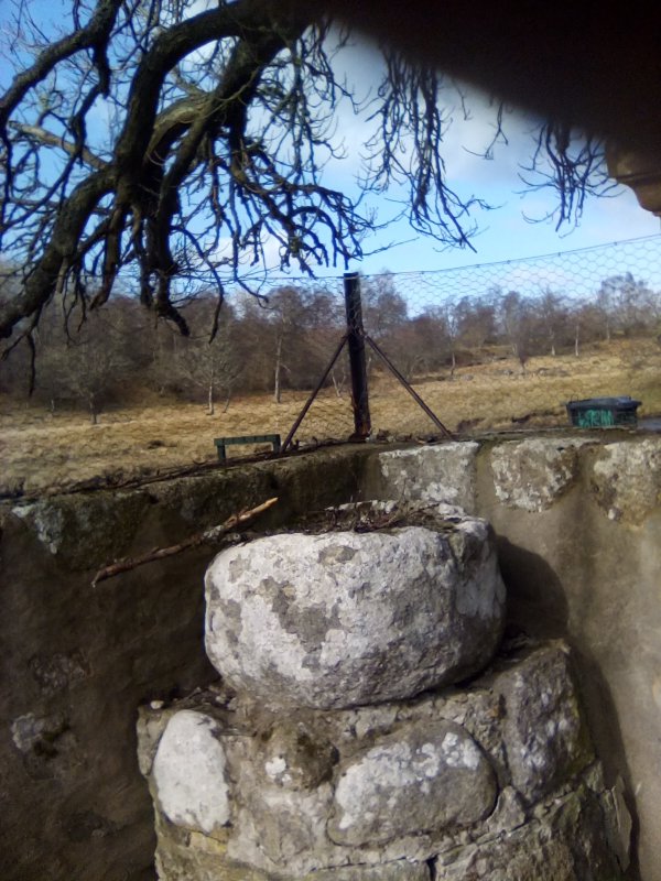 Photo of the Supposed font at Inverallan